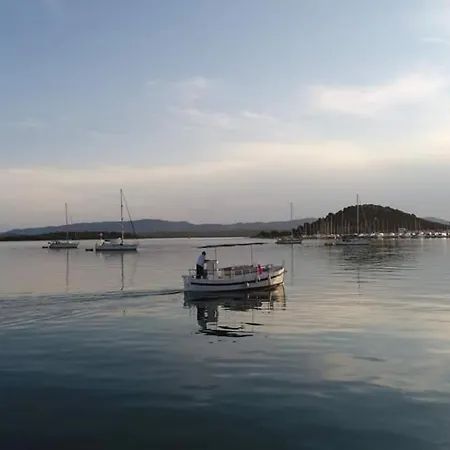 Kate, With Sea View, Garden And Parking, Murter, Dalmatia *