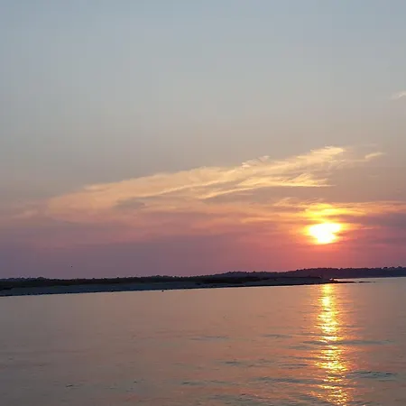 Kate - Wake Up To The Sea, Terrace, Garden & Parking, - Dalmatia * Murter