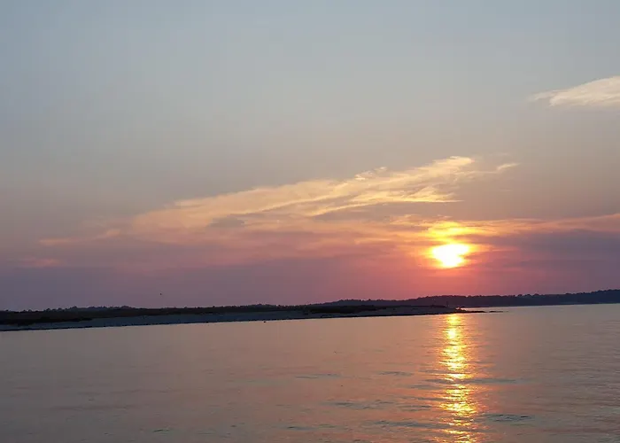 Kate - Wake Up To The Sea, Terrace, Garden & Parking, - Dalmatia * Murter